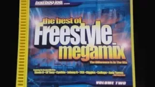 Bad Boy Joe - The Best Of Freestyle Megamix Volume 2