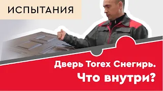 Дверь Torex Снегирь. Что внутри?