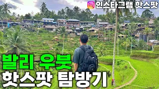 발리 우붓 인스타그램 핫스팟 탐방기 | 뚜까드 쯔뿡 폭포 | 뜨갈랑랑 계단식 논 - 우붓, 발리 | 인도네시아 여행[5]