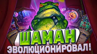 Шаман Эволюционировал! Новый Шаман на эволюции снова в ладдере! | Hearthstone -  Аудиопокалипсис