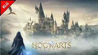 HOGWARTS LEGACY / Хогвартс. Наследие ► ФИНАЛ ►#14