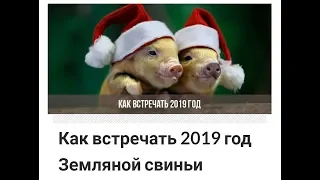 Как встречать Новый Год 2019 Земляной свиньи?