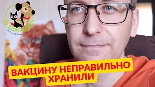 Что будет если применить вакцину, которую неправильно хранили? Как  заражаются наши животные?