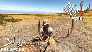 OFF AXIS | BIG BUCK DOWN OR SO WE THOUGHT? S1E05