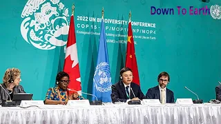 COP15: Kunming-Montreal Global Biodiversity Framework adopted