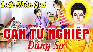 Nhân Quả Báo Ứng Không Bỏ Sót 1 Ai, CẬN TỬ NGHIỆP Đáng Sợ - Nên Nghe Để Tránh _ Oan Nghiệp Đời Trước