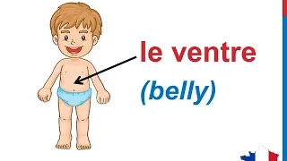 French Lesson 33 BODY PARTS French Vocabulary Parties du corps English subtitles Partes del cuerpo