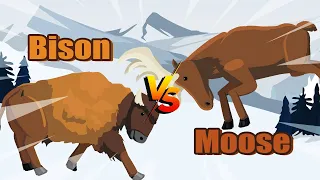 Moose vs Bison | Animal Tournament [S1] | Animal Animation