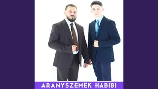 HABIBI