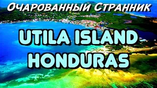 ОС #106 / Остров Утила, Карибское Море, Гондурас / Utila, Bay Islands, Honduras