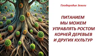 Наглядный пример питания дерева древесиной. Секреты использования сидератов №476/24