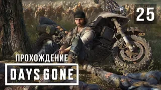 База упокоителей • Days Gone • #25