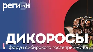 Регион LIFE | Дикоросы: форум сибирского гостеприимства | ОТС LIVE — прямая трансляция