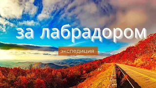 Найти лабрадор самому Лабрадор камень Добыча лабрадора Богатства Украины Карьеры Житомира