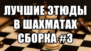 Лучшие шахматные этюды. Сборка №3. Красивые шахматные этюды с решениями. Этюды шахматные. Шахматы