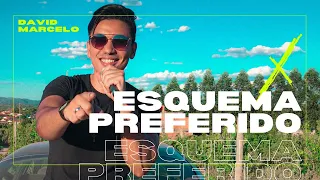 Esquema Preferido - DJ Ivis feat Tarcisio do Acordeon | Cover