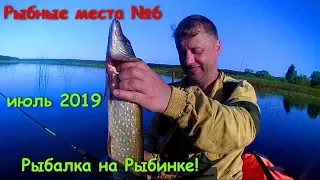 Рыбалка на Рыбинском водохранилище (Стёпаново). Июль 2019. Рыбные места №6