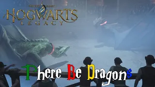 Hogwarts Legacy - There Be Dragons