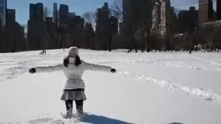 The day after snow blizzard Jonas at Central Park NYC 2016