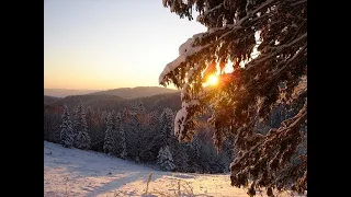 Winter in the Carpathians Relaxation Video & Soothing Music Carpathian Mountains in Ukraine