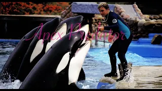 Apex predator | Favorite female orca edit