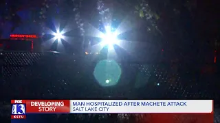 Man hospitalized after machete attack