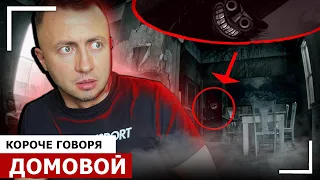 КОРОЧЕ ГОВОРЯ, ДОМОВОЙ У МЕНЯ ДОМА [От первого лица] Увидел домового в реальной жизни!