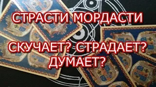 ТАРО ПРОГНОЗ:ЕГО СТРАСТИ- МОРДАСТИ СКУЧАЕТ?СТРАДАЕТ?ДУМАЕТ?ОНЛАЙН ГАДАНИЕ