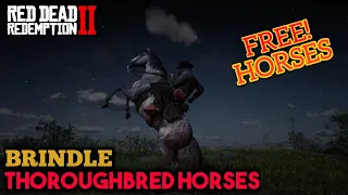 Red Dead Redemption 2 - How to get FREE BRINDLE THOROUGHBRED HORSES for FREE! (TUTORIAL)
