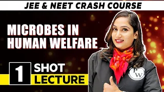 Microbes in Human Welfare - One Shot Lecture | CHAMPION - NEET CRASH COURSE 2022