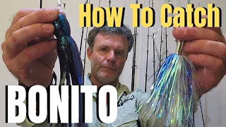 How to catch BONITO deep sea fishing false albacore basics & tactics