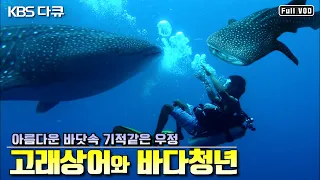 고래상어와 바다청년의 기적같은 우정🐋 필리핀 작은 바다 마을에 찾아온 고래상어들! 이들의 앞날은..? | “고래상어, 바다청년과 친구가 되다” (KBS 131004 방송)