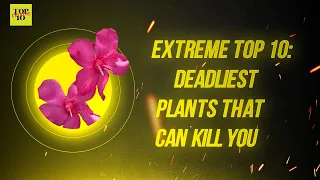 Extreme Top 10: Deadliest Plants That Can Kill You