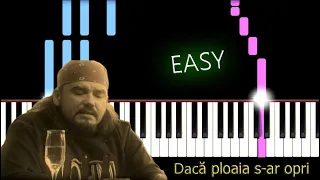 Cargo - Dacă ploaia s-ar opri | Piano Tutorial