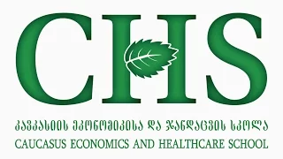 Caucasus University / CHS / Mannequin Challenge