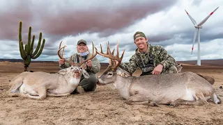 2 Bucks in 30 Minutes! Massive 12 Year Old Whitetail! | Hunting Big South Texas Bucks Pt. 2