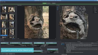 Meshroom: Open Source 3D Reconstruction Software