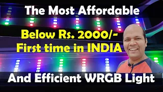 The most affordable and efficient WRGB light | Happy fins and nature | Hindi