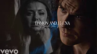 Damon & Elena / Bird set free