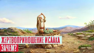 Почему Бог тестировал Авраама приказом принести Ицхака в жертву? | Раввин Михаил Финкель