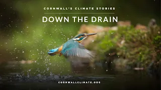 Cornwall’s Climate Stories: Down the Drain PREMIERE+ Q&A