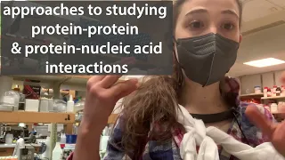 Biochemical approaches to studying protein-protein & protein-nucleic acid interactions