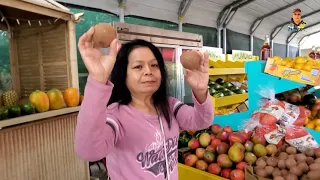 Homestead Florida pick yourself papaya for $2.00