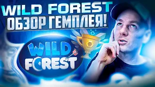 Wild Forest особенности фарма поинтов. С чего начать?! И как заработать?!