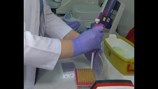 У Тернополі розпочали тестування на антитіла до Covid-19