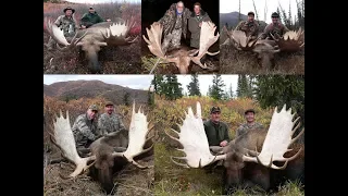 Alaska Yukon moose hunting 15 big bulls moose taken