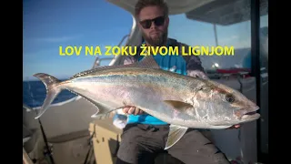 Ribolov svim i svačim - Lov na zoku živom lignjom (Komiža Monster Bite tour)