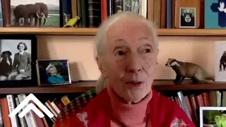 Dr. Jane Goodall Recounts Her Mother’s Best Advice to Her