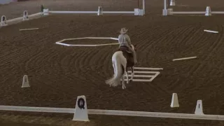 Adammair - Cowboy Dressage World Finals September 9, 2016. Challenge Walk Jog Lope Test 1