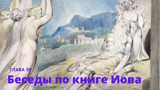 39. Беседы по книге Иова. Глава 39